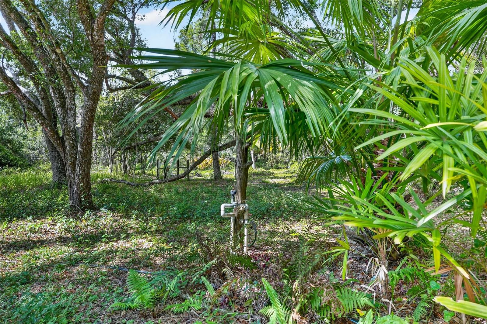 16409 WINBURN PL, SARASOTA, FL, 34240