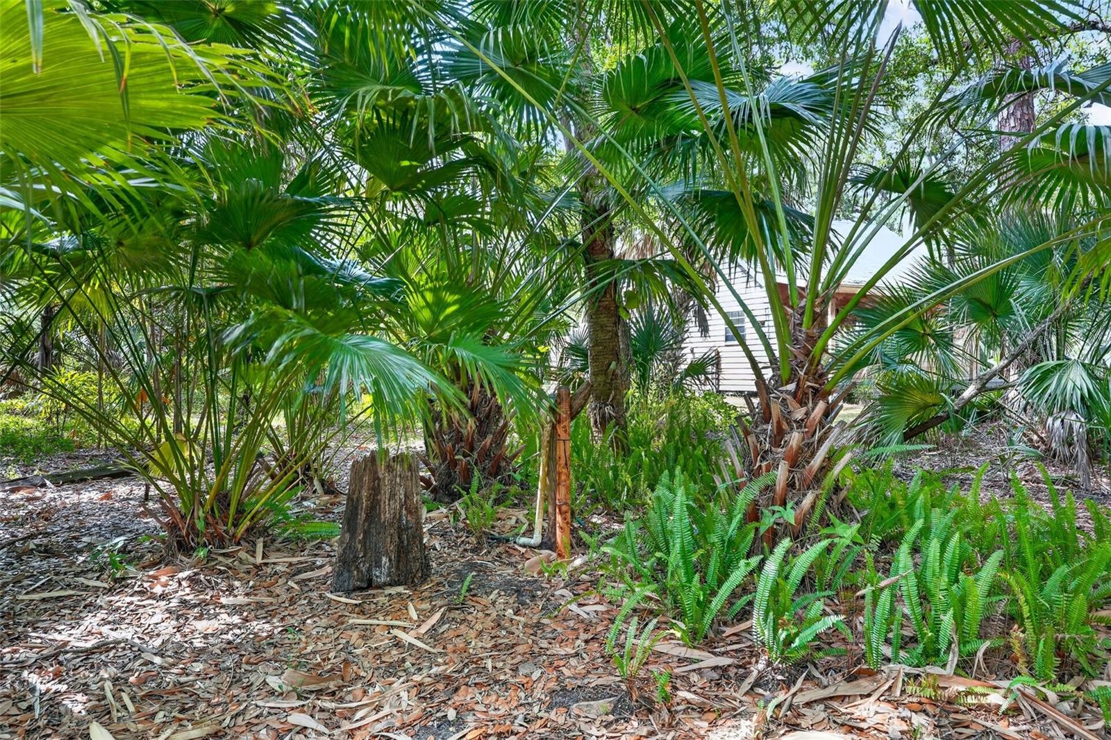 16409 WINBURN PL, SARASOTA, FL, 34240