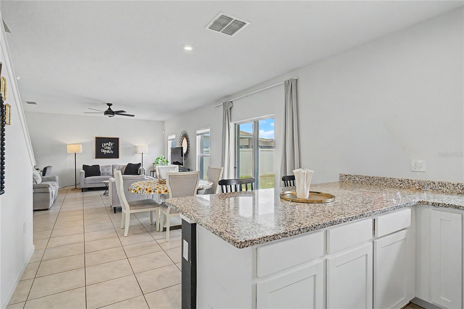 313 FIDDLEWOOD CT, DAVENPORT, FL, 33837