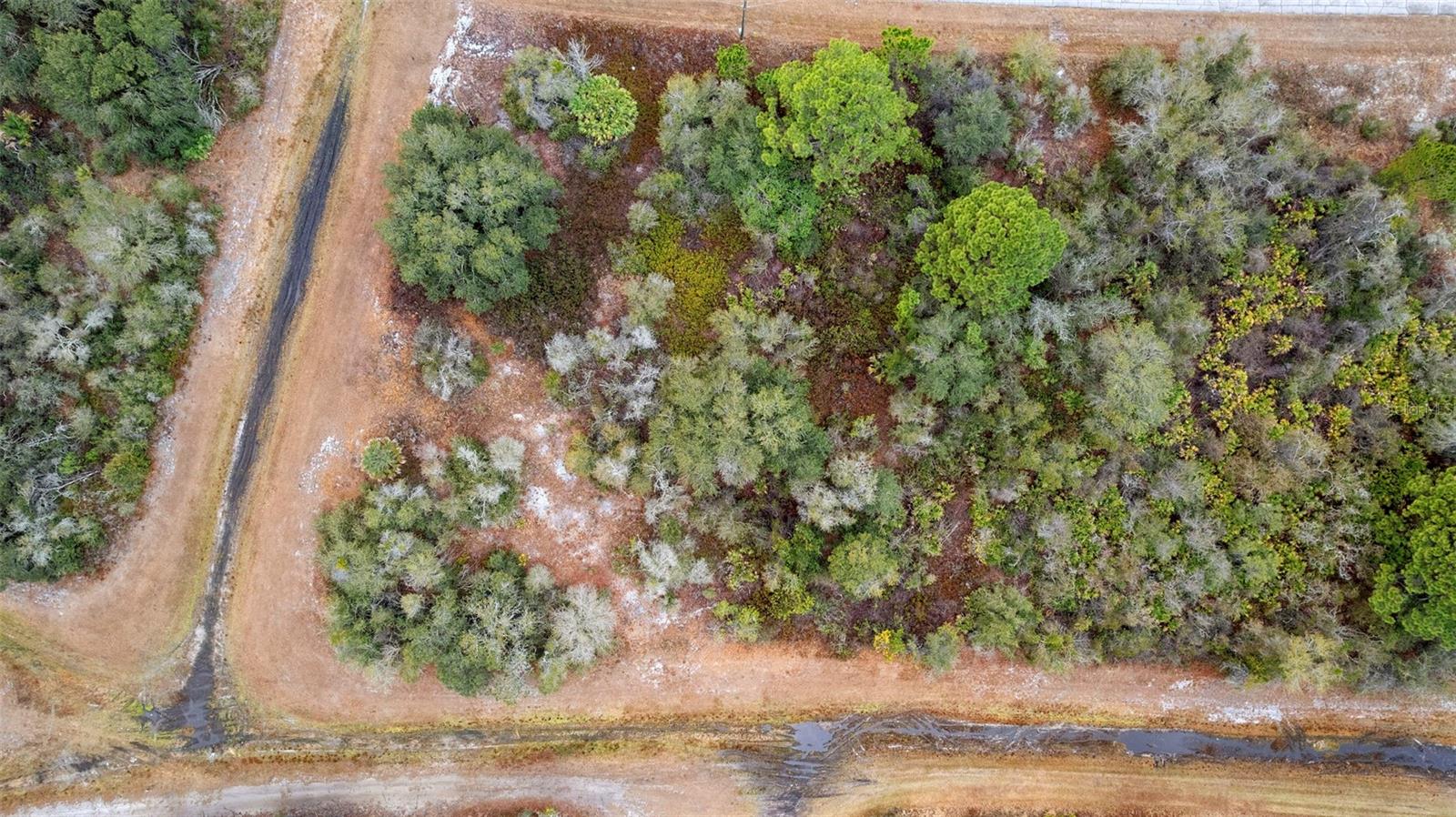 1519 MEDITERRANEAN DR, POINCIANA, FL, 34759