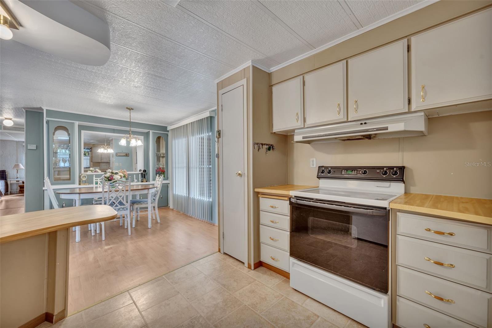 53 KONO CIR, LEESBURG, FL, 34788