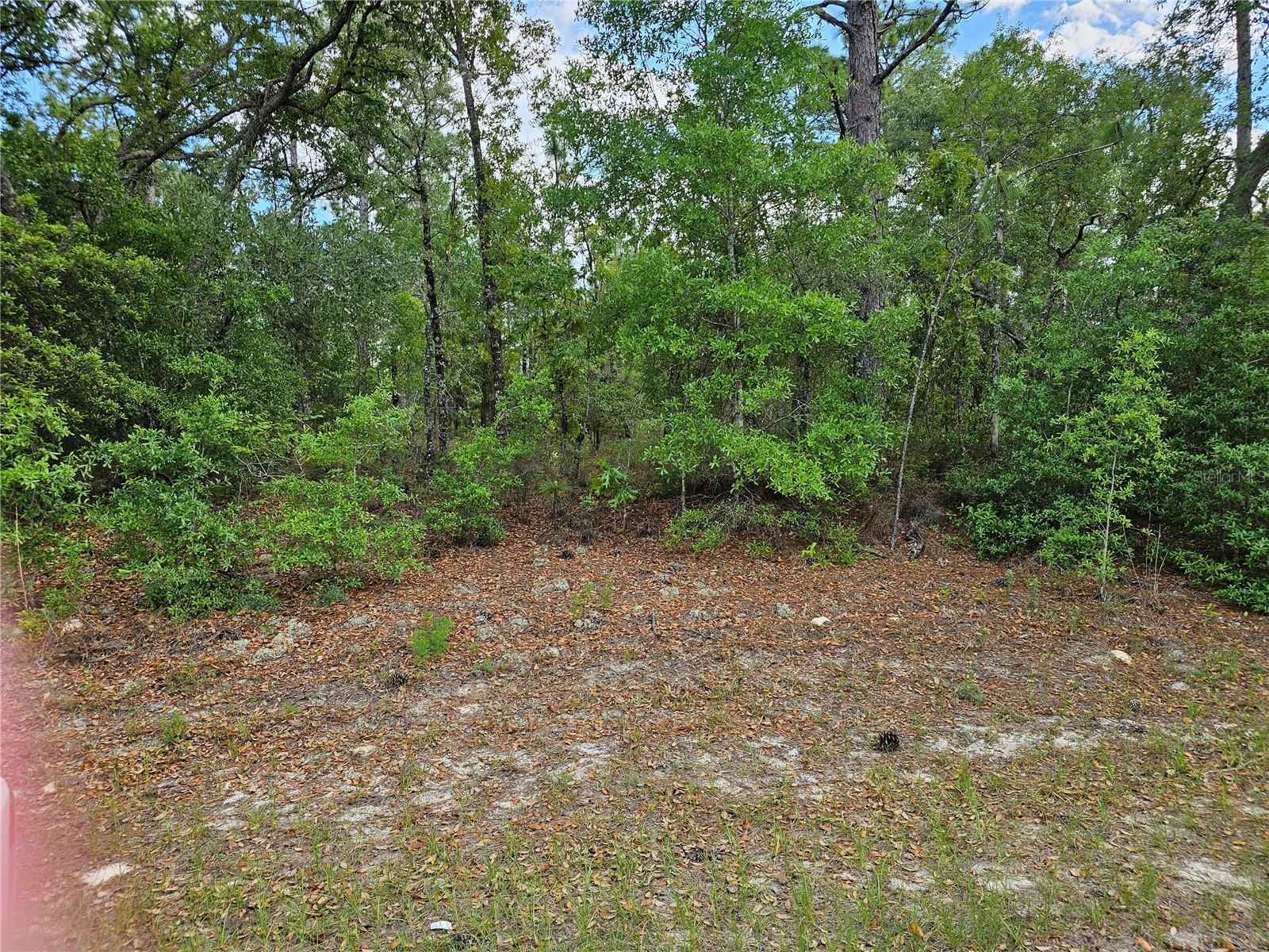 767 E BYRD, DUNNELLON, FL, 34434