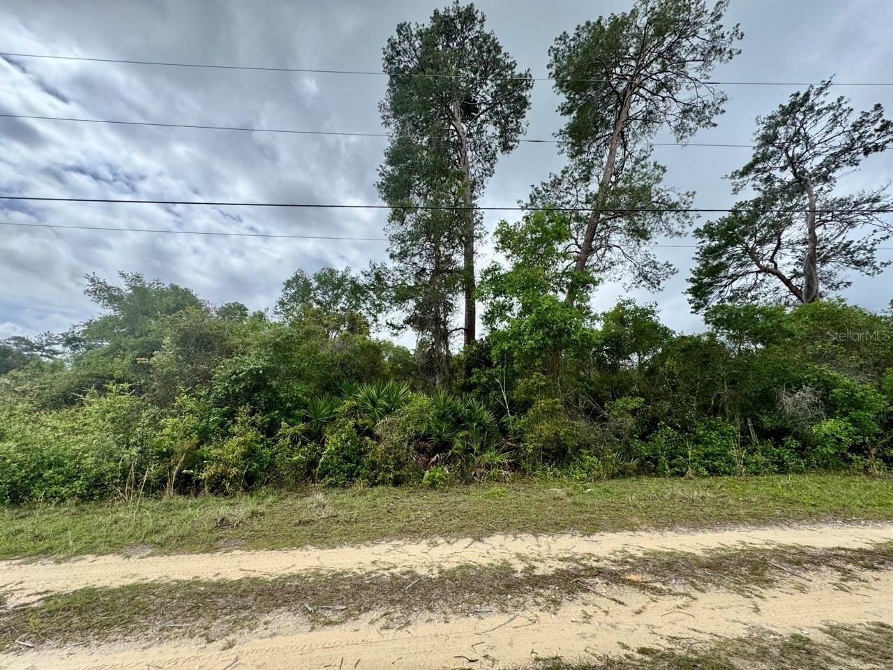 NE 134TH PL, SALT SPRINGS, FL, 32134