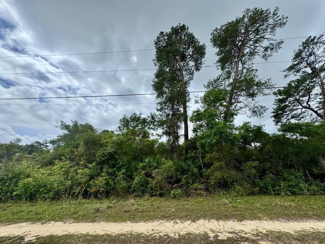 NE 134TH PL, SALT SPRINGS, FL, 32134