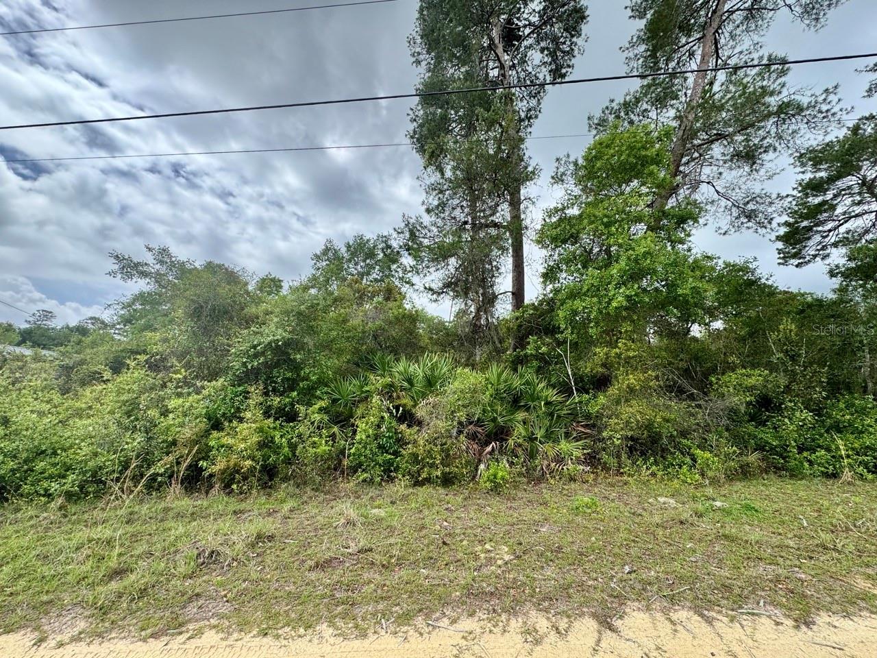 NE 134TH PL, SALT SPRINGS, FL, 32134