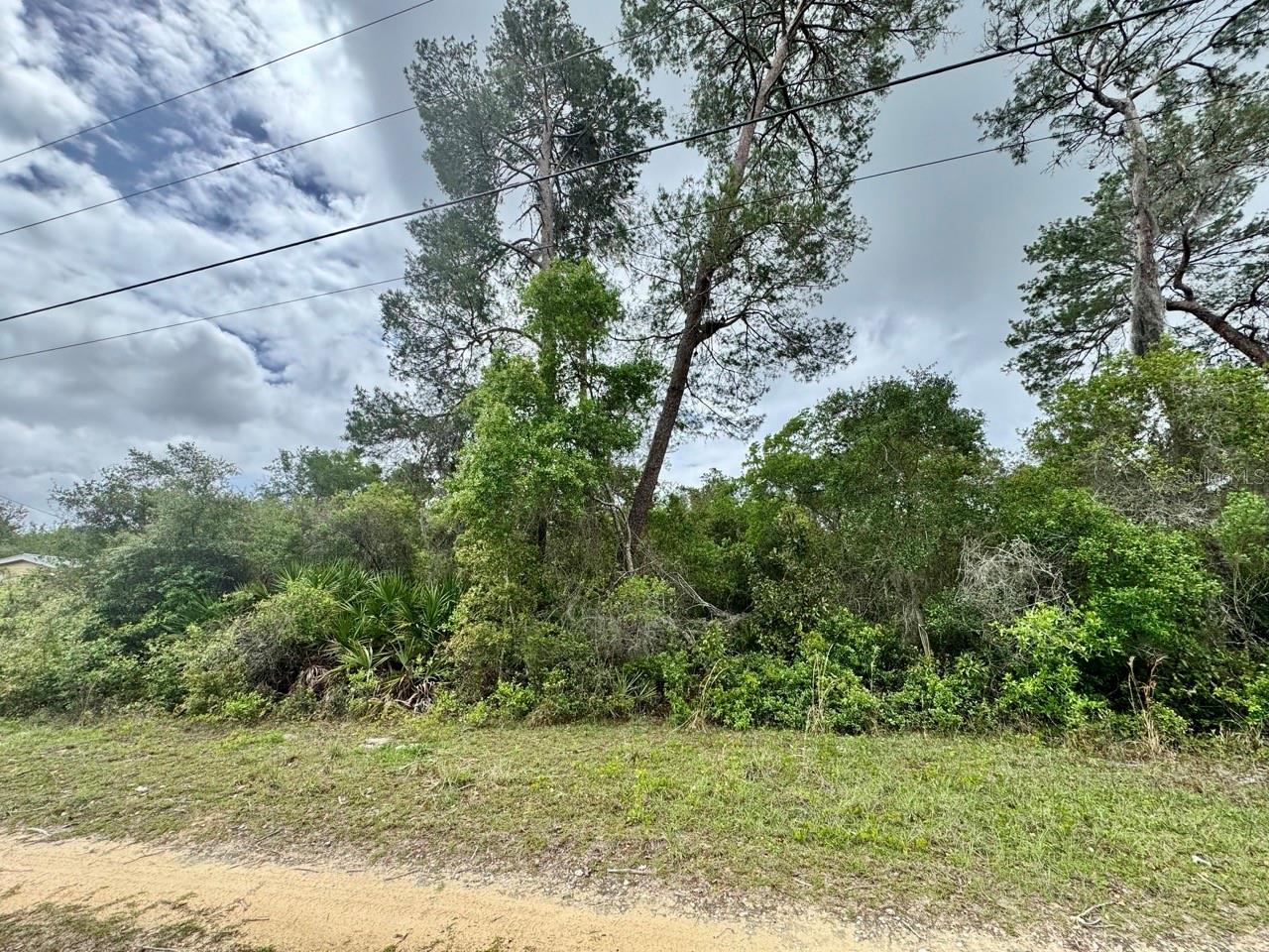 NE 134TH PL, SALT SPRINGS, FL, 32134