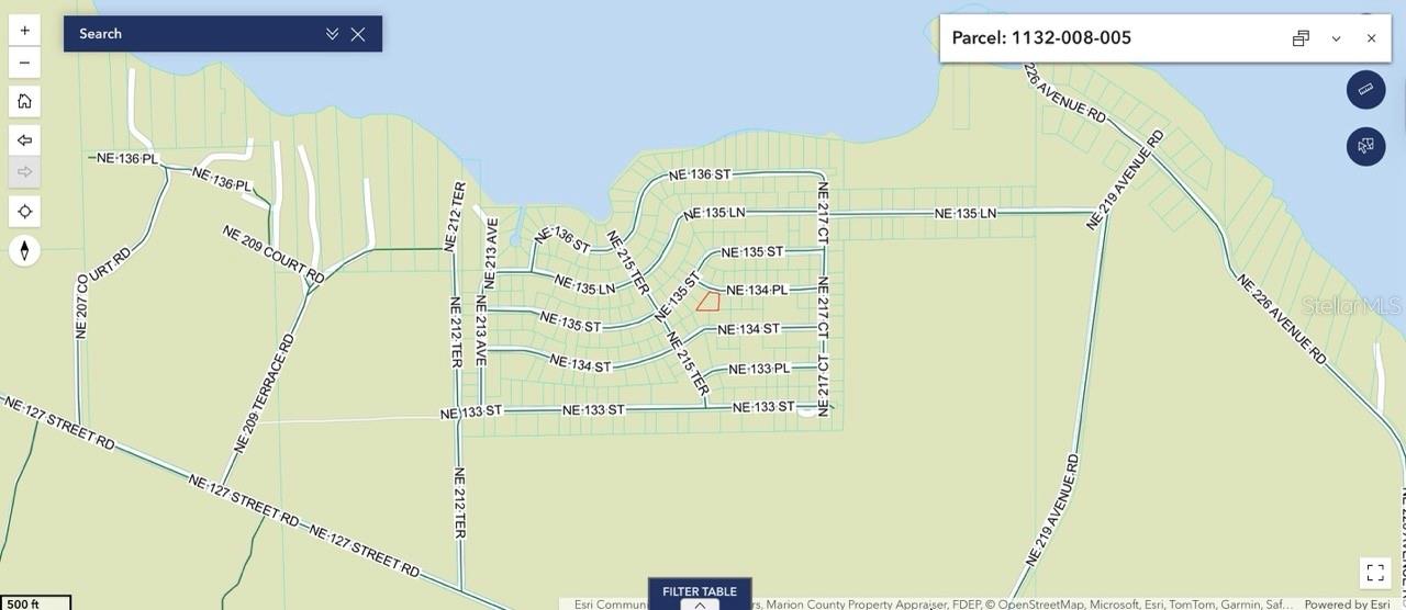 NE 134TH PL, SALT SPRINGS, FL, 32134