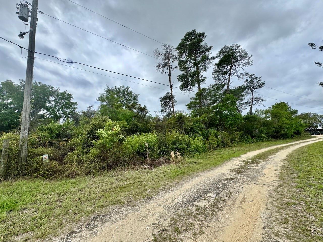 NE 134TH PL, SALT SPRINGS, FL, 32134