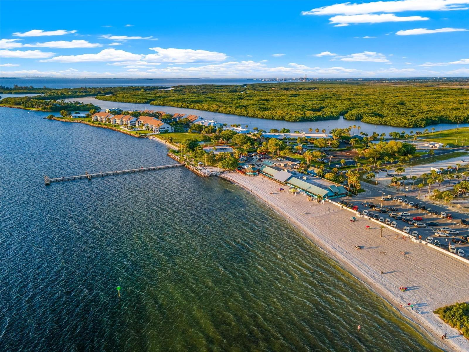 919 SEAGRAPE DR, RUSKIN, FL, 33570