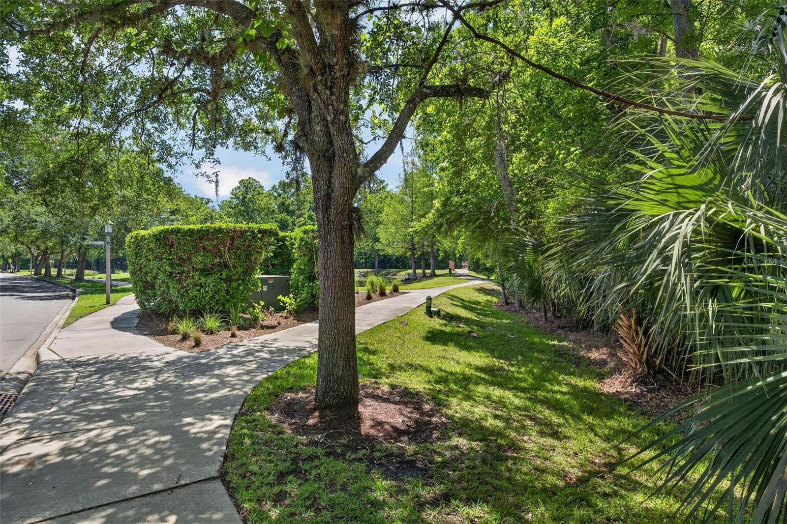 1003 OLD BLUSH RD, CELEBRATION, FL, 34747