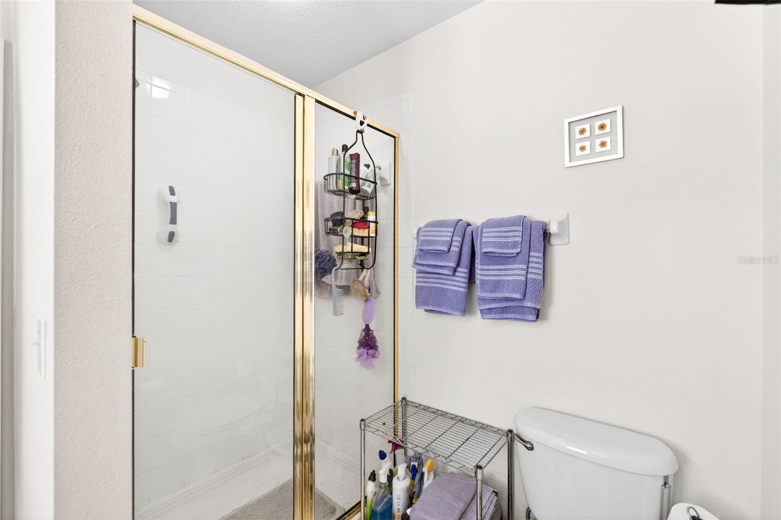 1003 OLD BLUSH RD, CELEBRATION, FL, 34747