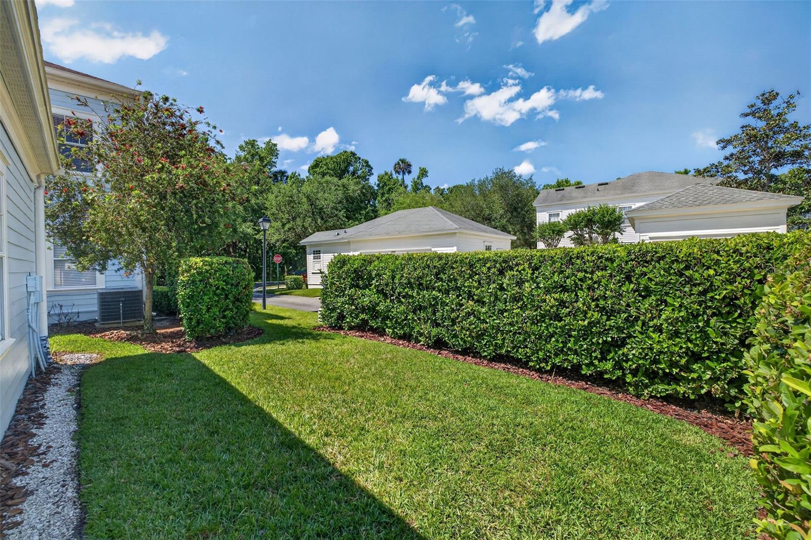 1003 OLD BLUSH RD, CELEBRATION, FL, 34747
