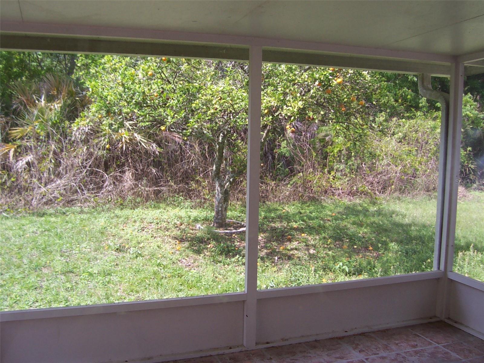 982 LITTLE CREEK RD, ORLANDO, FL, 32825