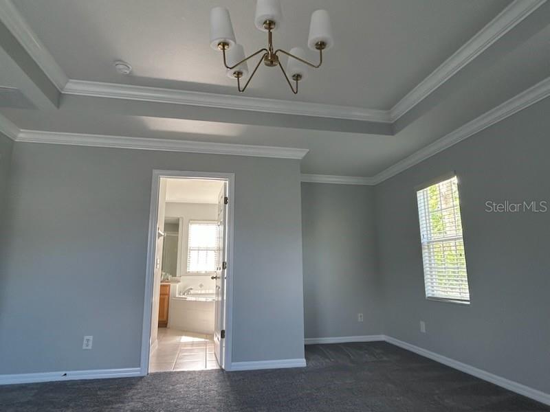 1115 OAK POND DR, CELEBRATION, FL, 34747