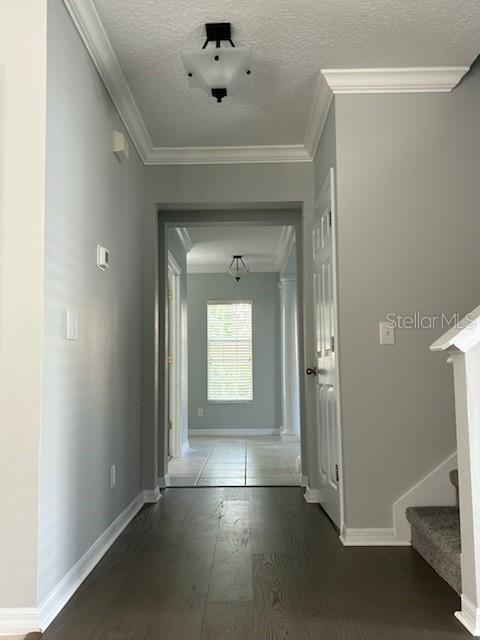 1115 OAK POND DR, CELEBRATION, FL, 34747