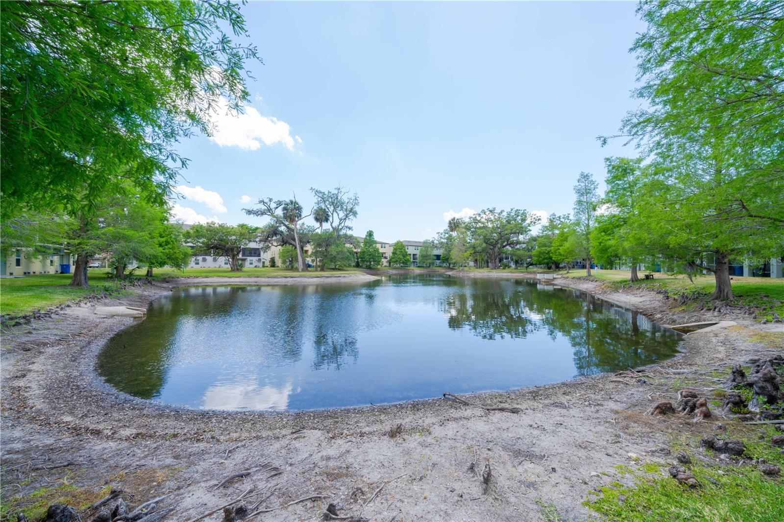 4409 TUSCAN LOON DR, TAMPA, FL, 33619