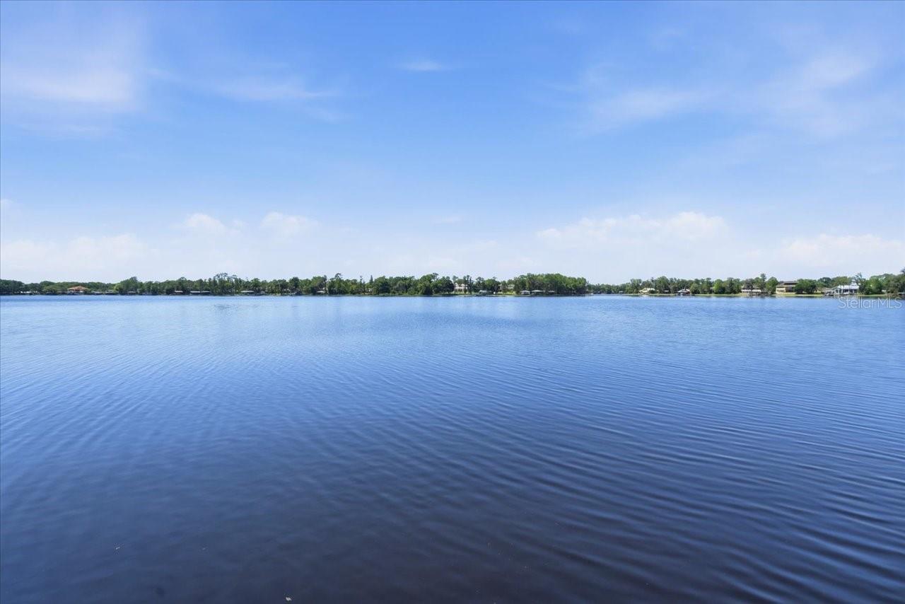 18258 WAYNE RD, ODESSA, FL, 33556