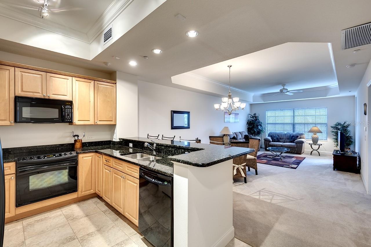 7702 LAKE VISTA CT #204, LAKEWOOD RANCH, FL, 34202