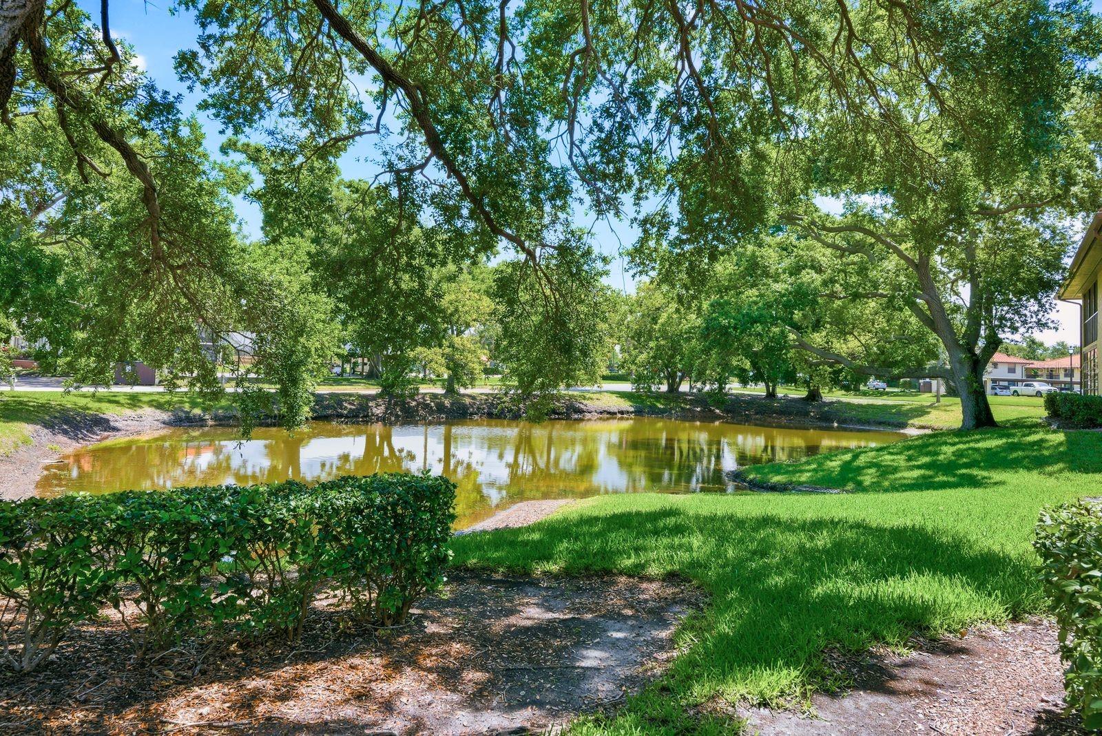 2614 HAMMOCK CT #2614, CLEARWATER, FL, 33761