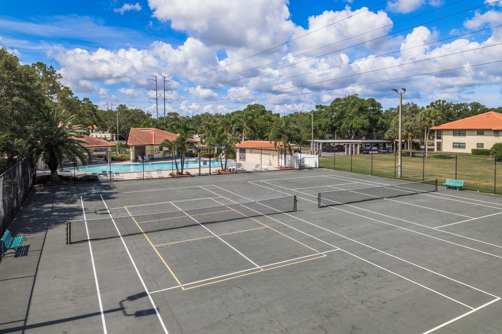 2614 HAMMOCK CT #2614, CLEARWATER, FL, 33761