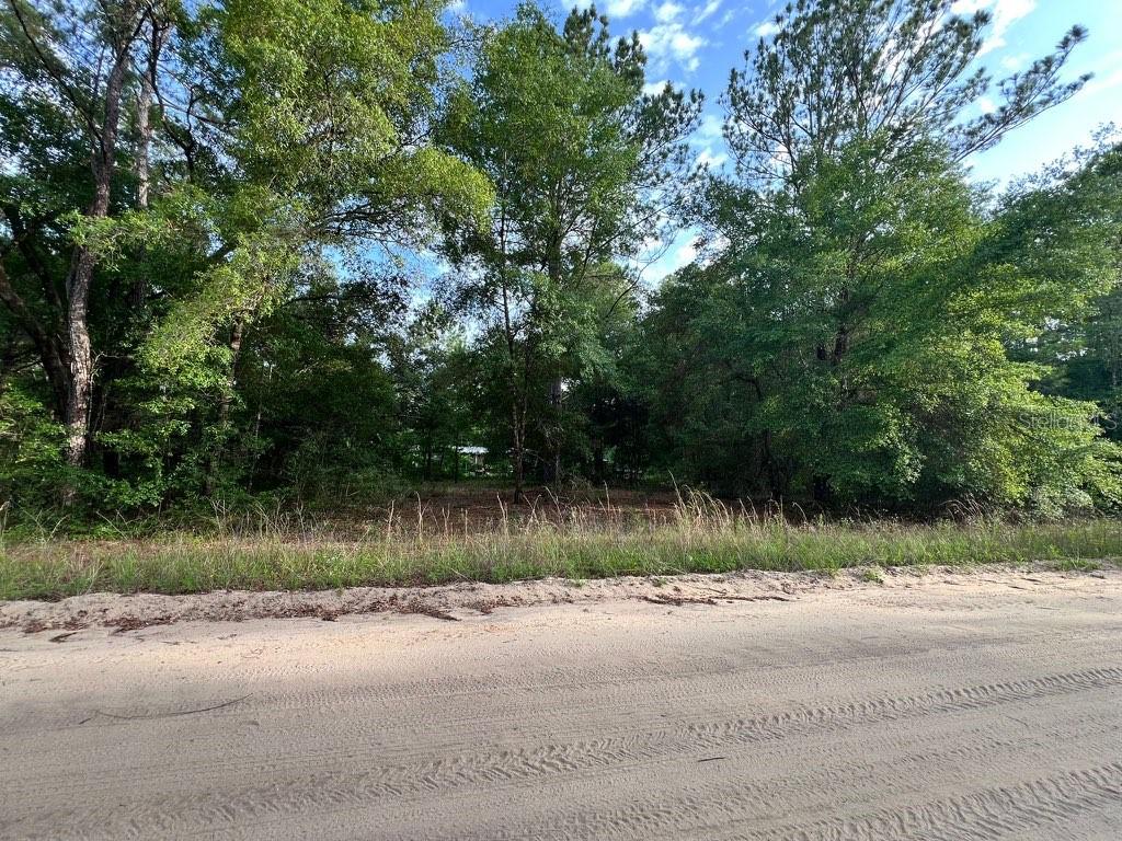 DECKER STREET LOT 12 13, INTERLACHEN, FL, 32148
