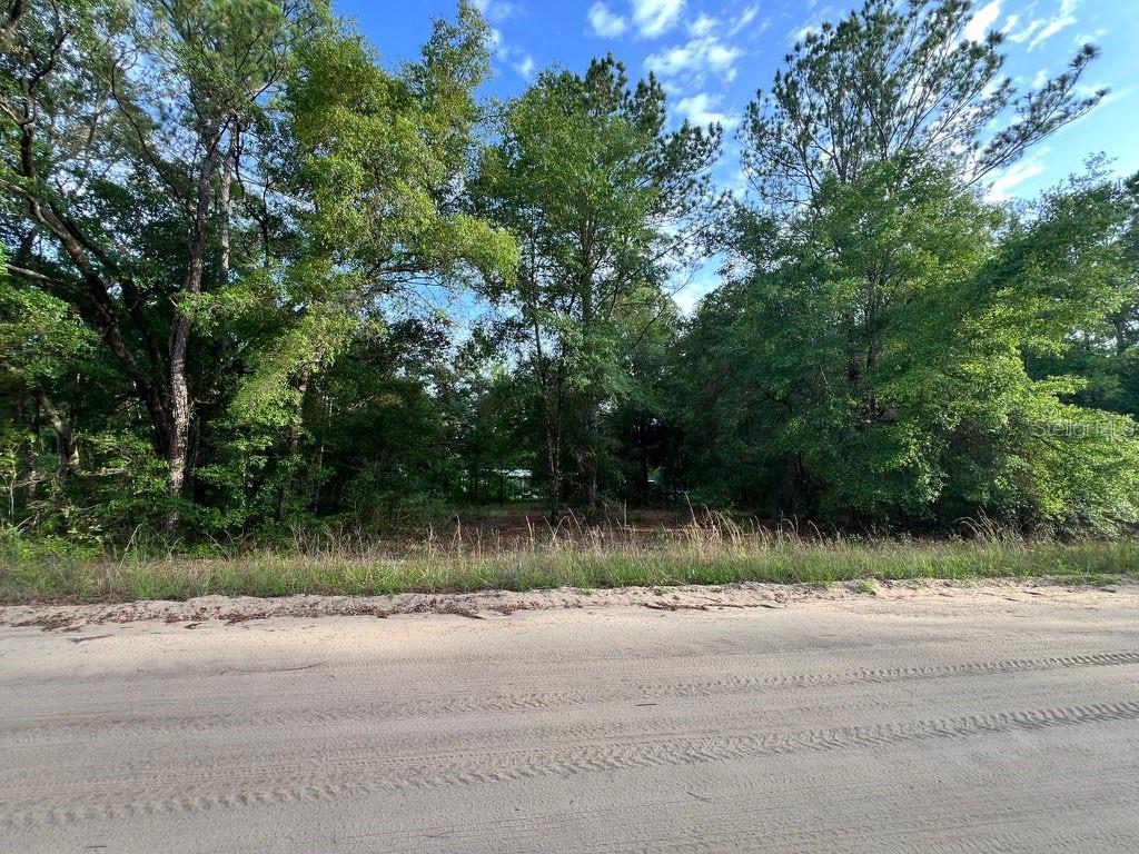 DECKER STREET LOT 12 13, INTERLACHEN, FL, 32148