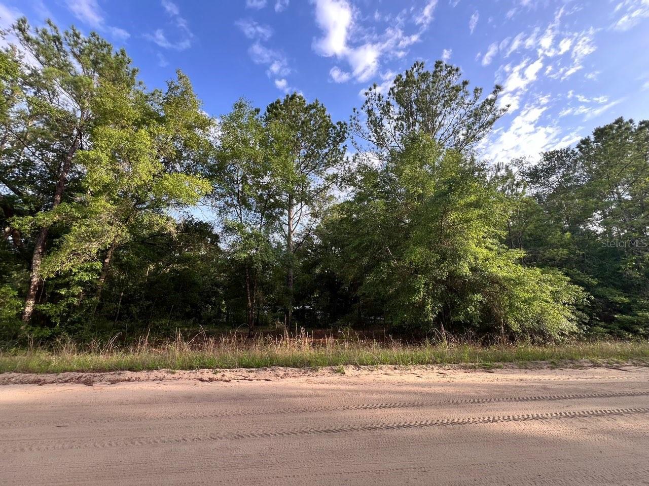 DECKER STREET LOT 12 13, INTERLACHEN, FL, 32148