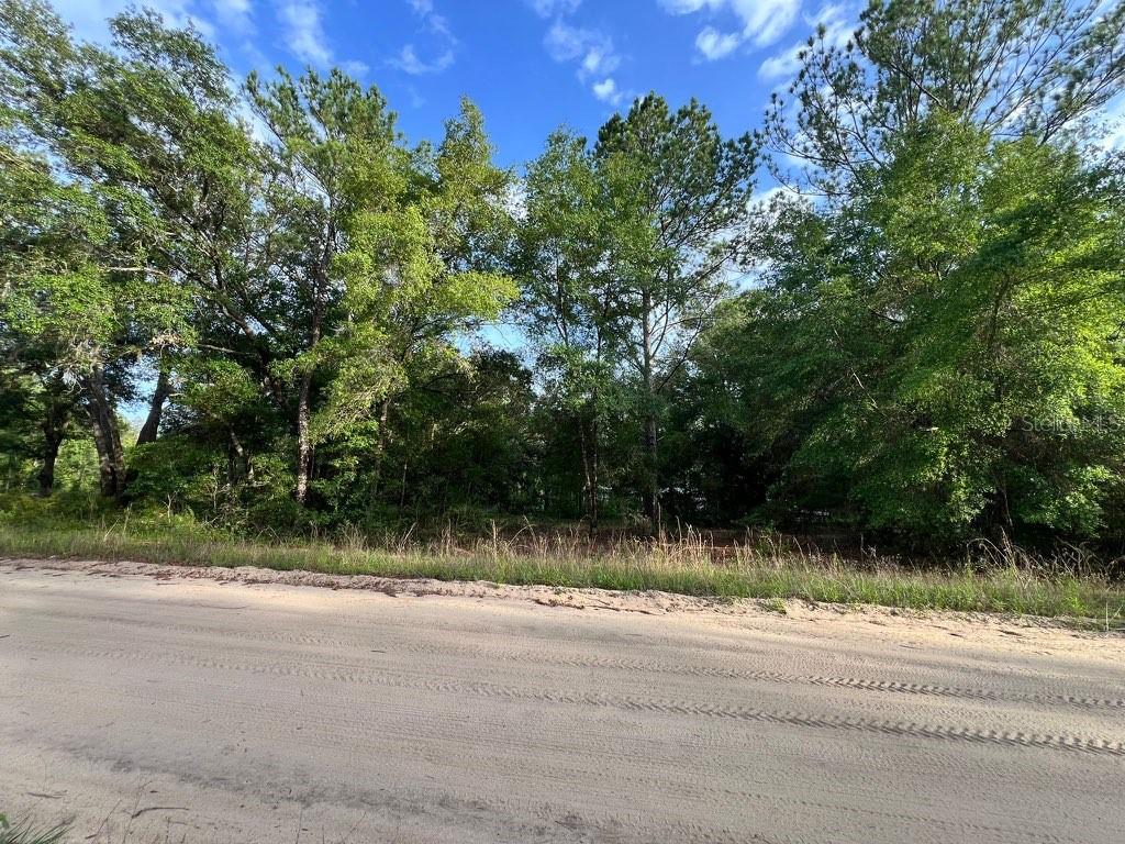 DECKER STREET LOT 12 13, INTERLACHEN, FL, 32148