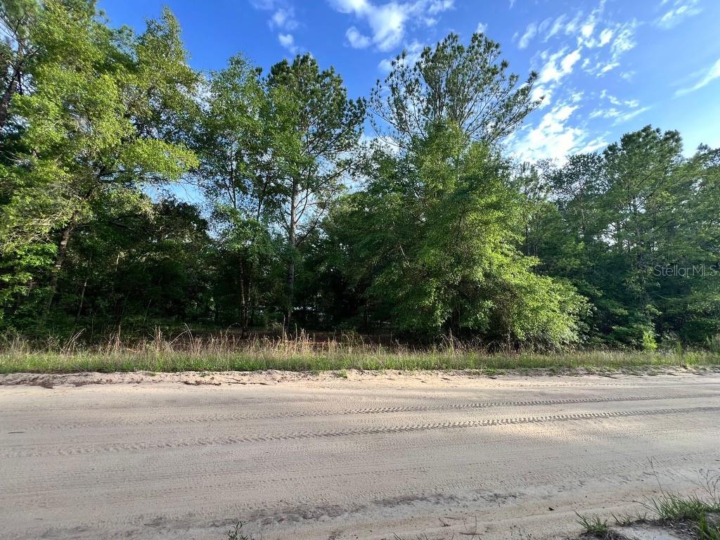 DECKER STREET LOT 12 13, INTERLACHEN, FL, 32148