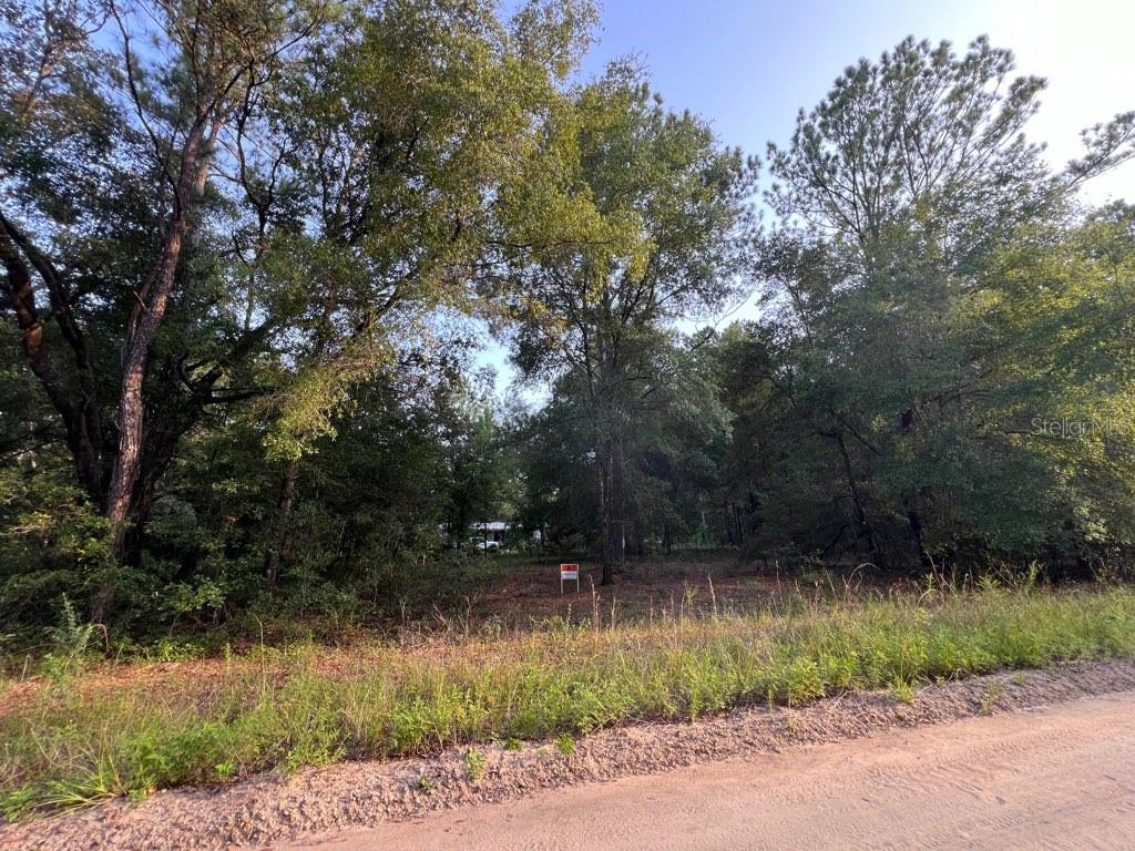 DECKER STREET LOT 12 13, INTERLACHEN, FL, 32148