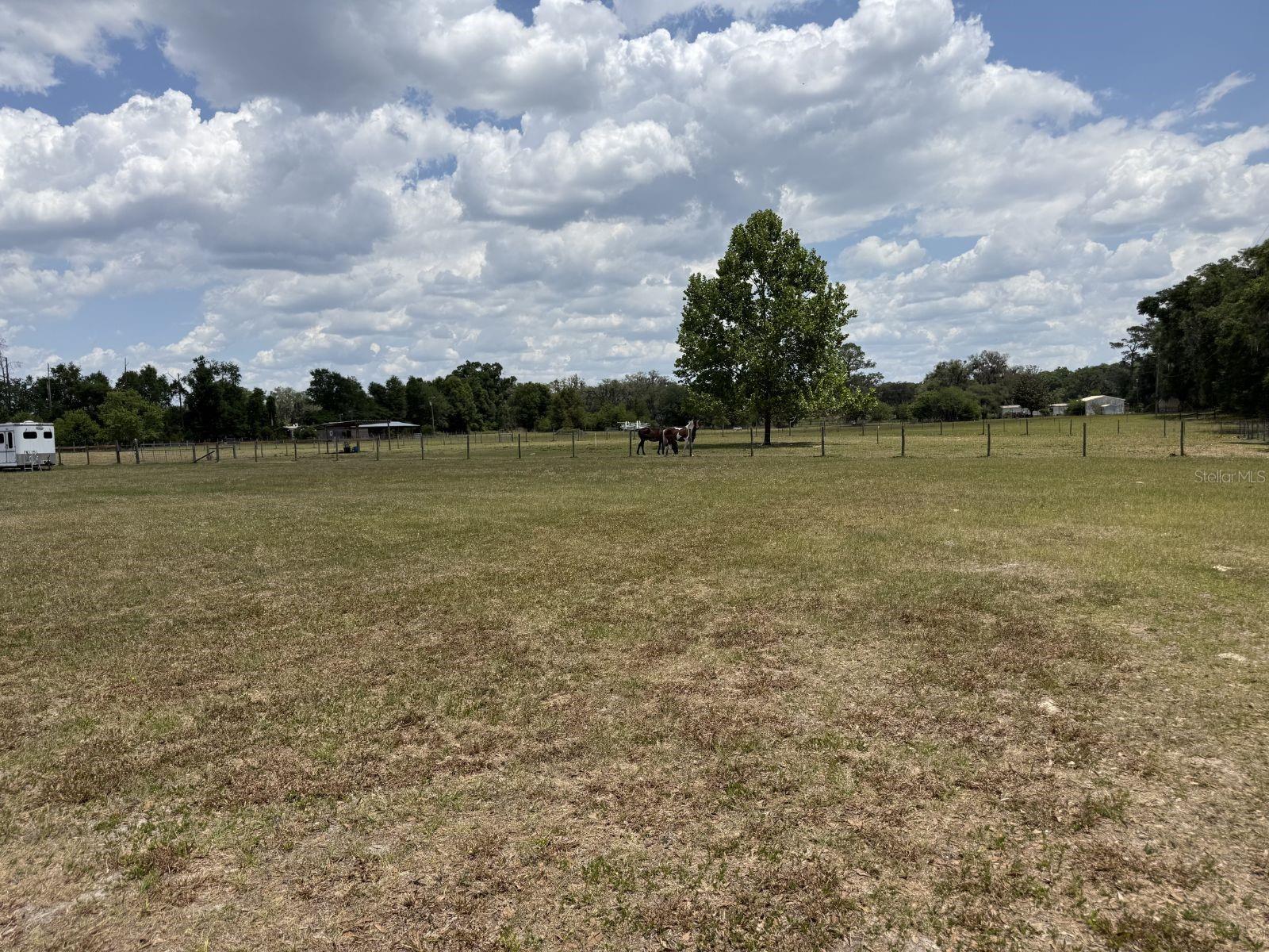 3460 SE COUNTY ROAD 337, TRENTON, FL, 32693