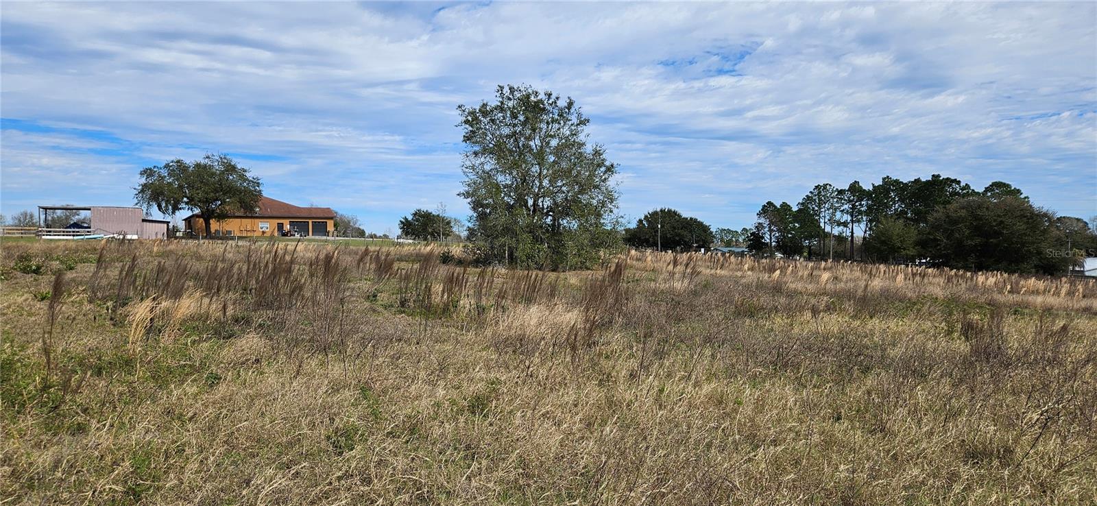 24207 TURKEY LAKE RD, HOWEY IN THE HILLS, FL, 34737