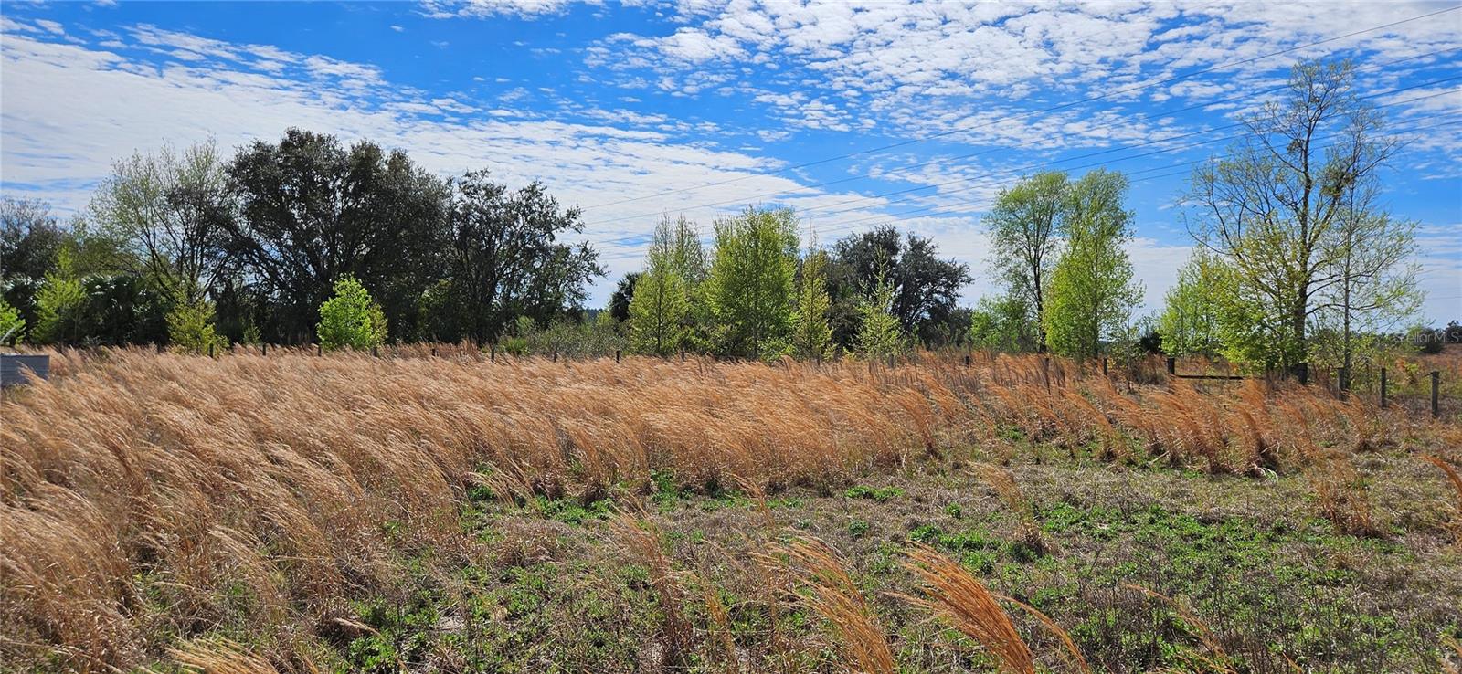 24207 TURKEY LAKE RD, HOWEY IN THE HILLS, FL, 34737