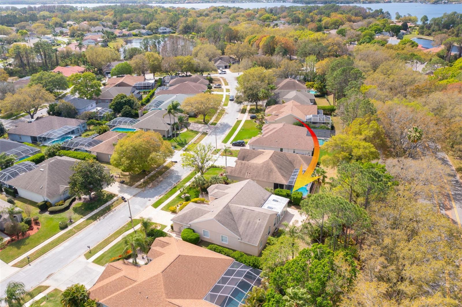 3713 SIENA LN, PALM HARBOR, FL, 34685