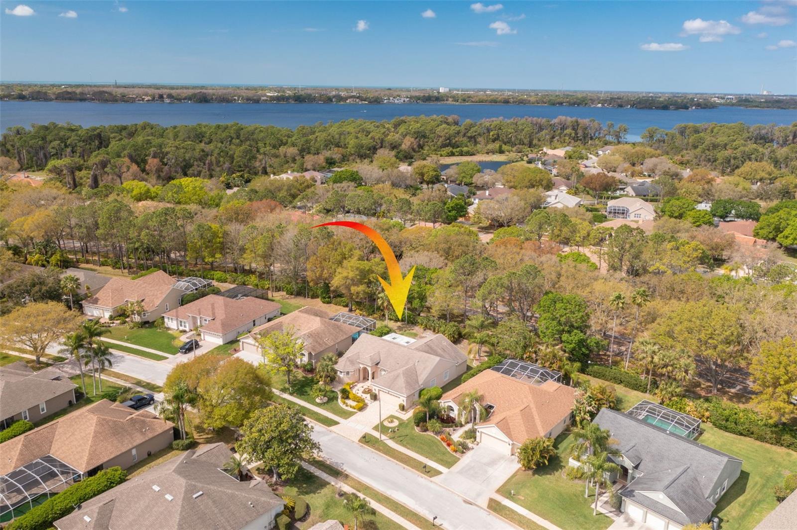 3713 SIENA LN, PALM HARBOR, FL, 34685