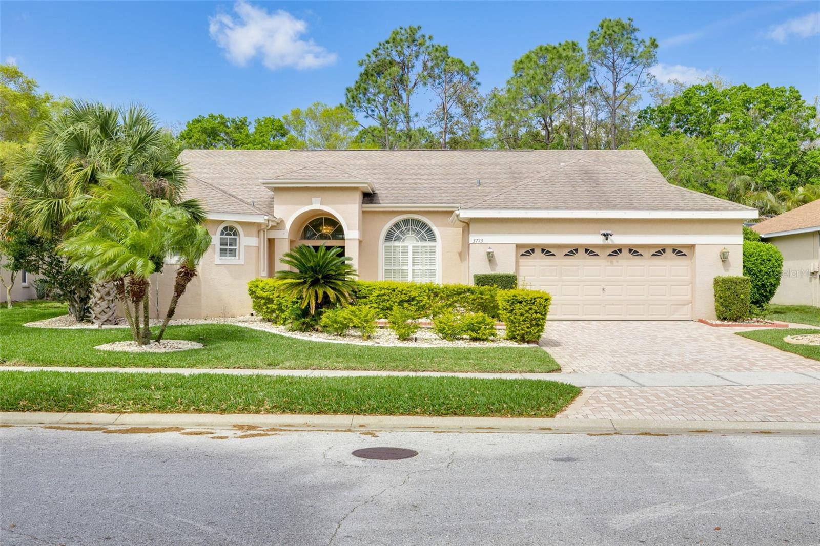 3713 SIENA LN, PALM HARBOR, FL, 34685