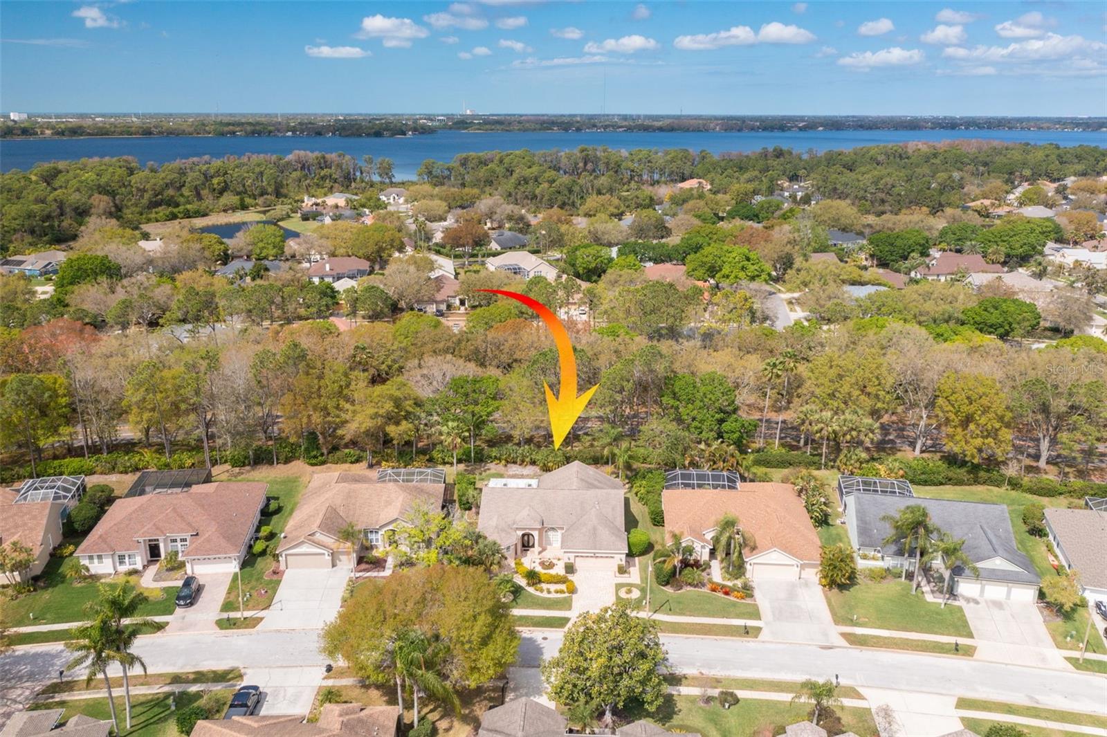 3713 SIENA LN, PALM HARBOR, FL, 34685