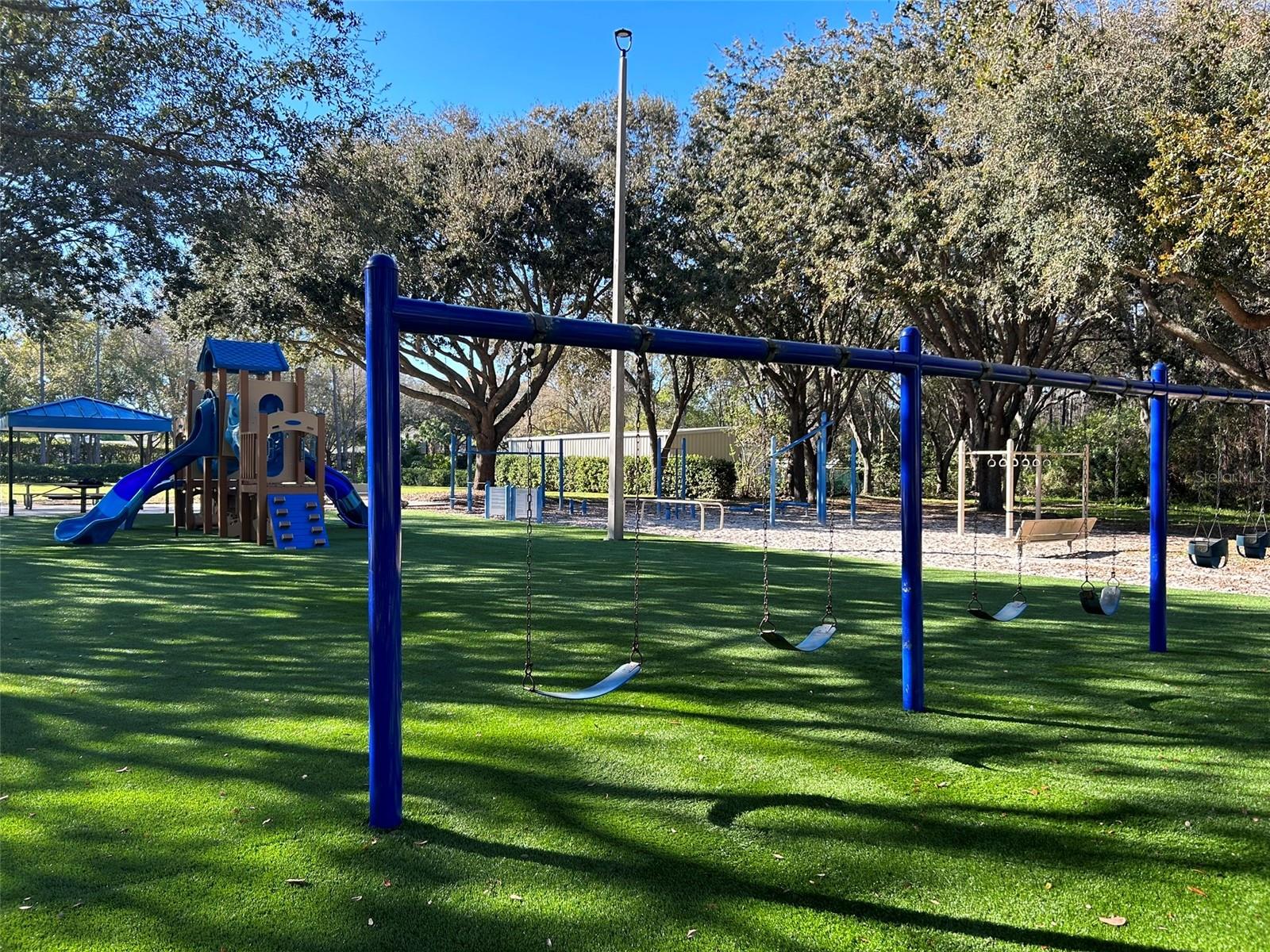 3713 SIENA LN, PALM HARBOR, FL, 34685