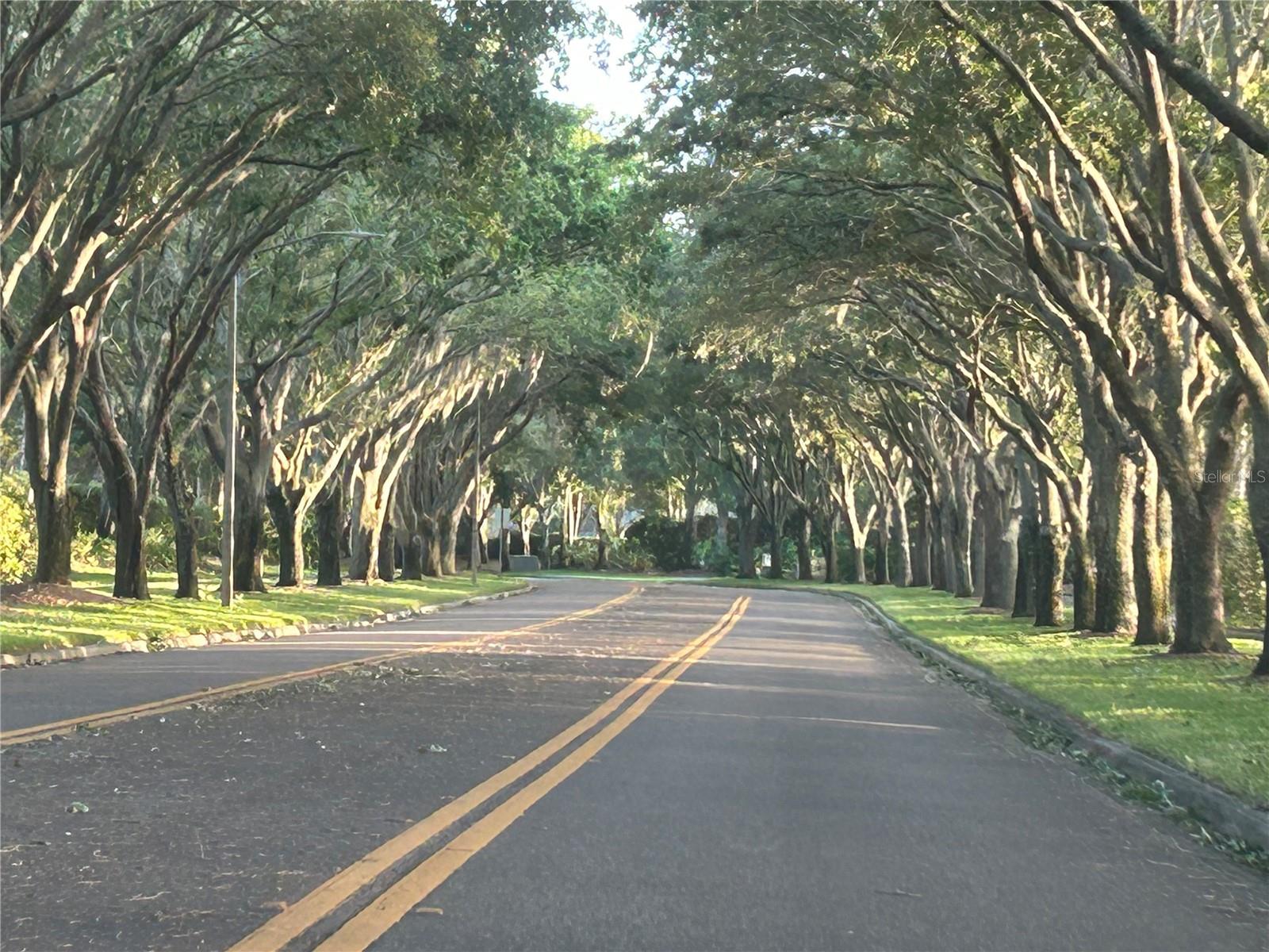 3713 SIENA LN, PALM HARBOR, FL, 34685