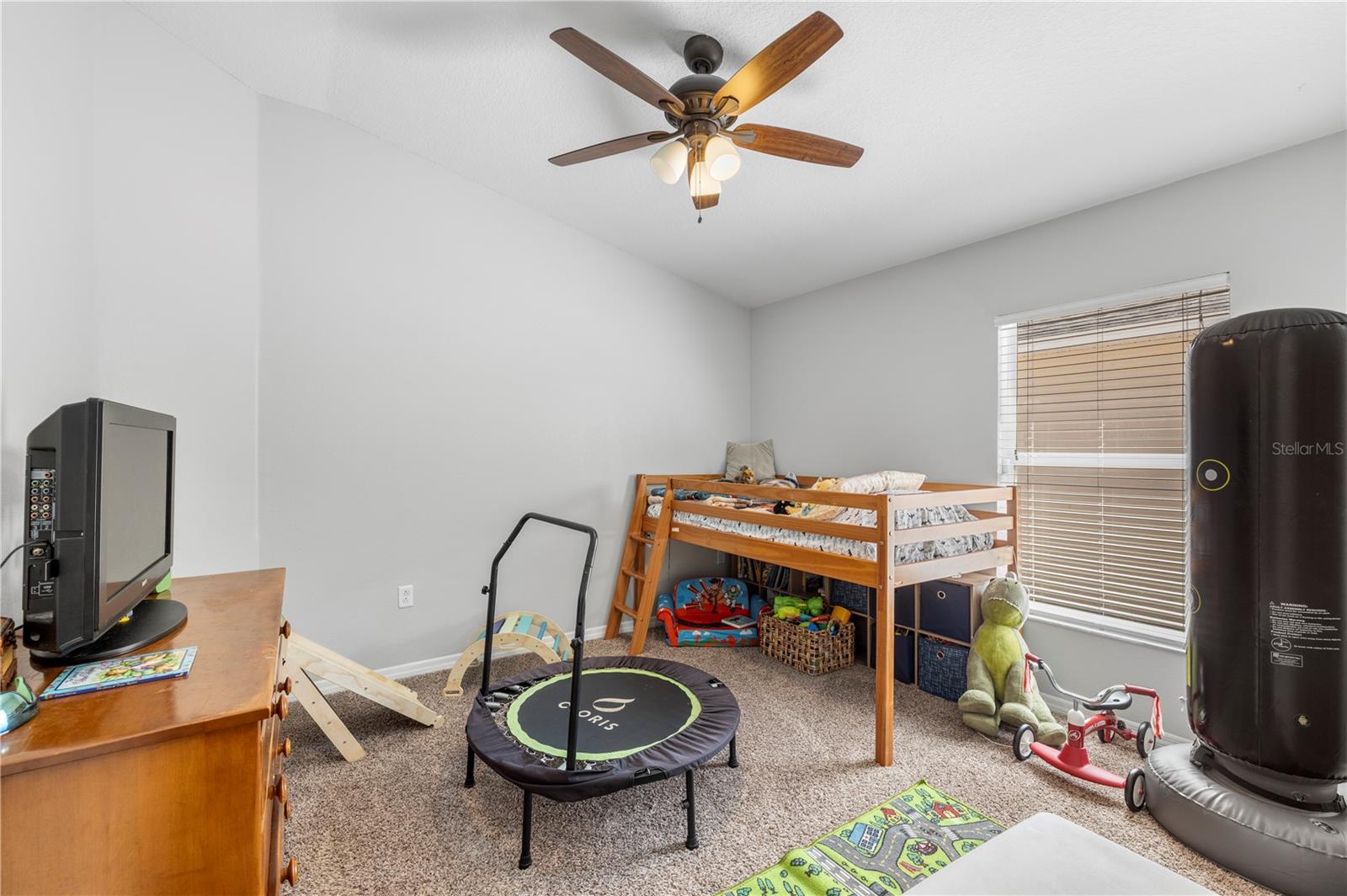 8020 ALAMOSA WOOD AVE, RUSKIN, FL, 33573