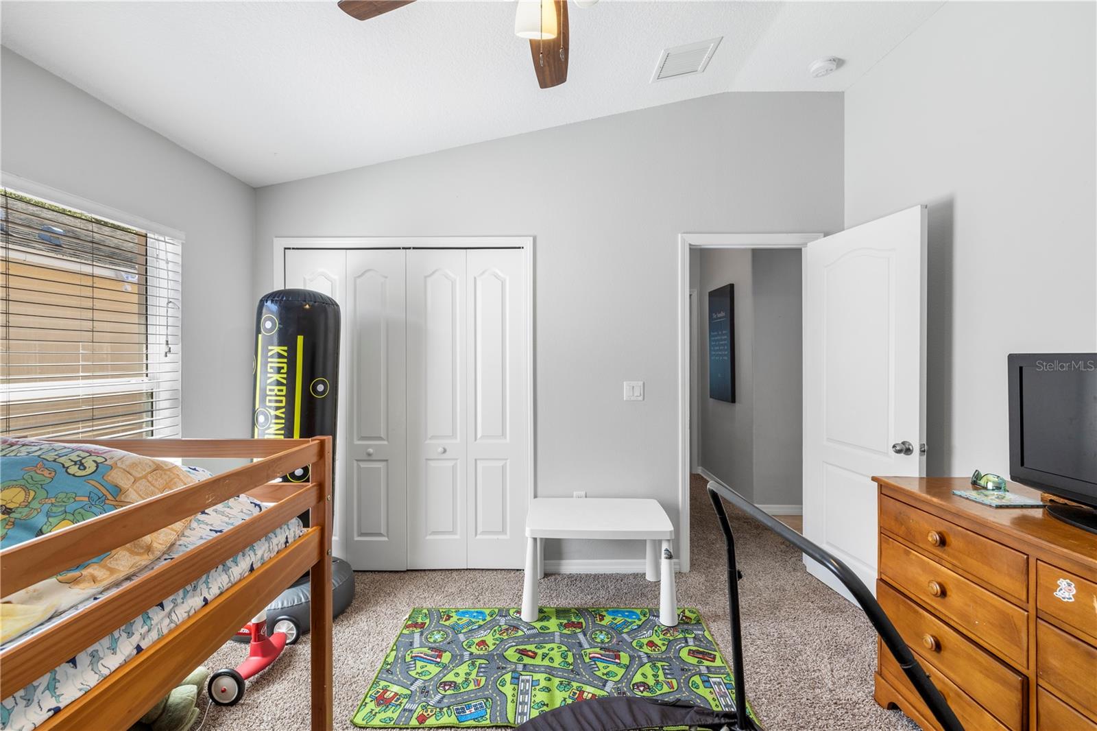 8020 ALAMOSA WOOD AVE, RUSKIN, FL, 33573