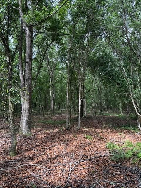 190 CATHERINE ST, BUNNELL, FL, 32110