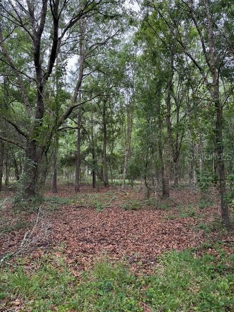 190 CATHERINE ST, BUNNELL, FL, 32110