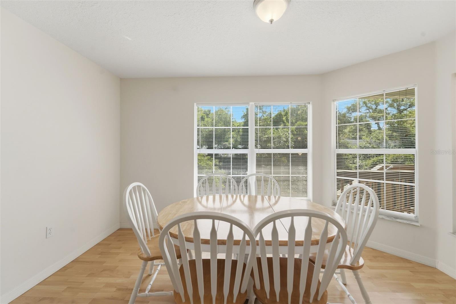 393 S DEXTER AVE, DELAND, FL, 32720