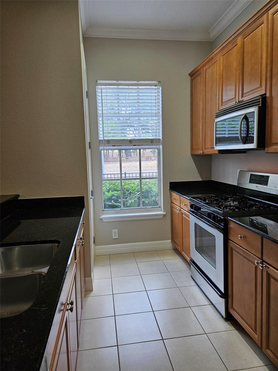 1005 EDISON PARK CT, TAMPA, FL, 33606