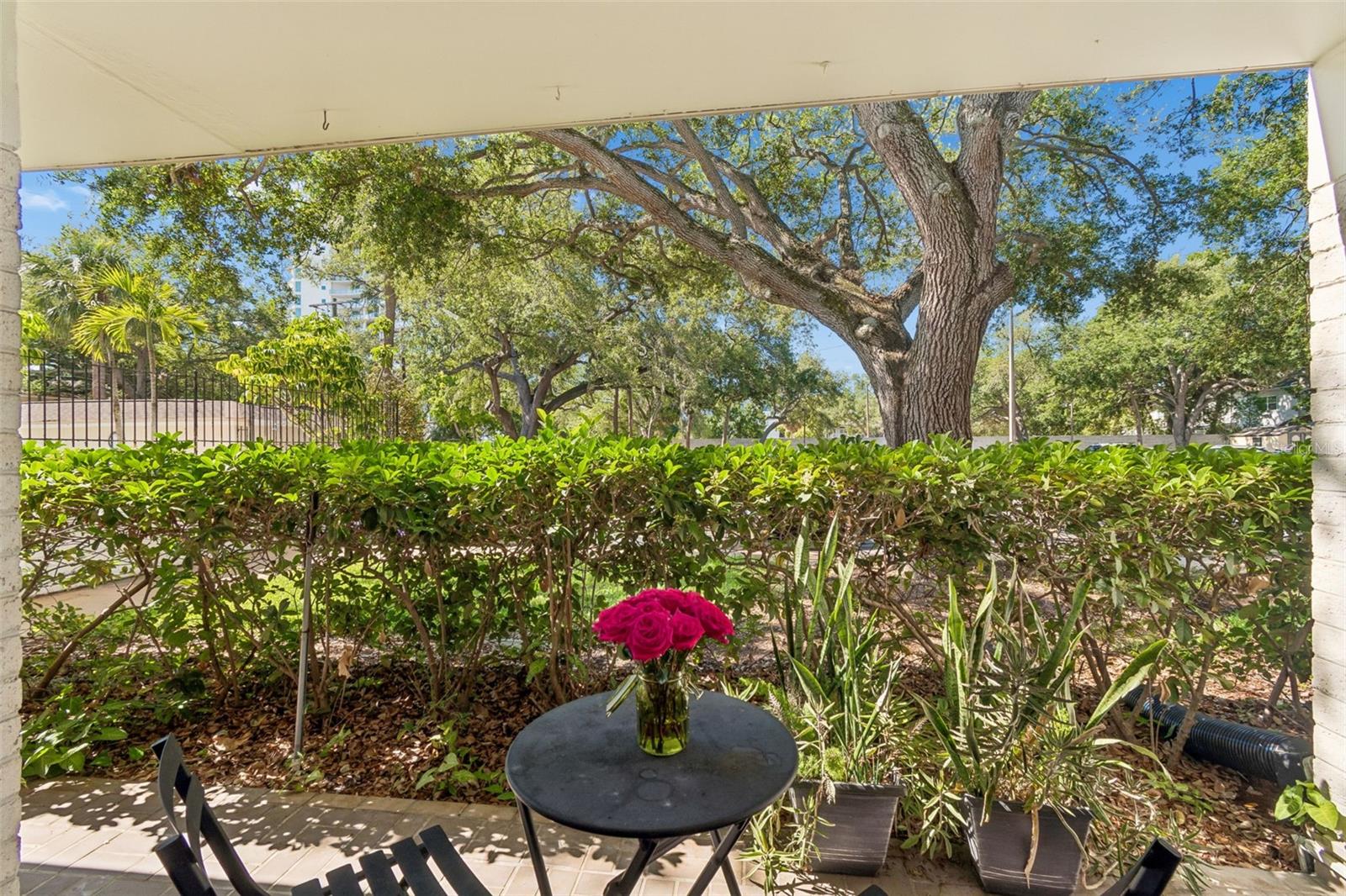 3325 BAYSHORE BLVD #D14, TAMPA, FL, 33629