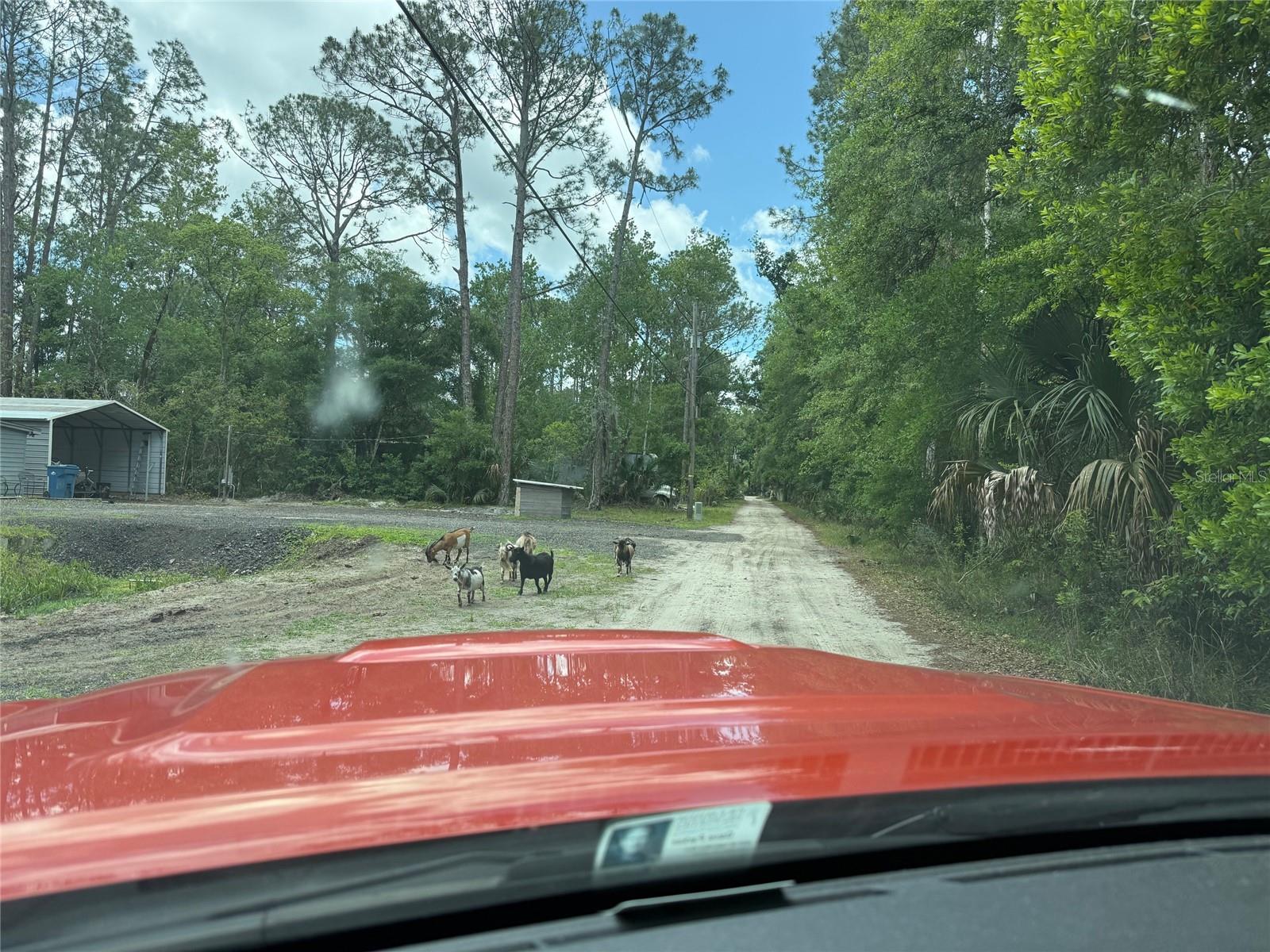 552 BUCKSHOT AVE, OSTEEN, FL, 32764