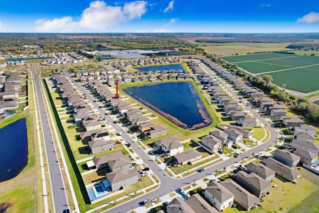 3160 OYSTER COVE ST, WIMAUMA, FL, 33598