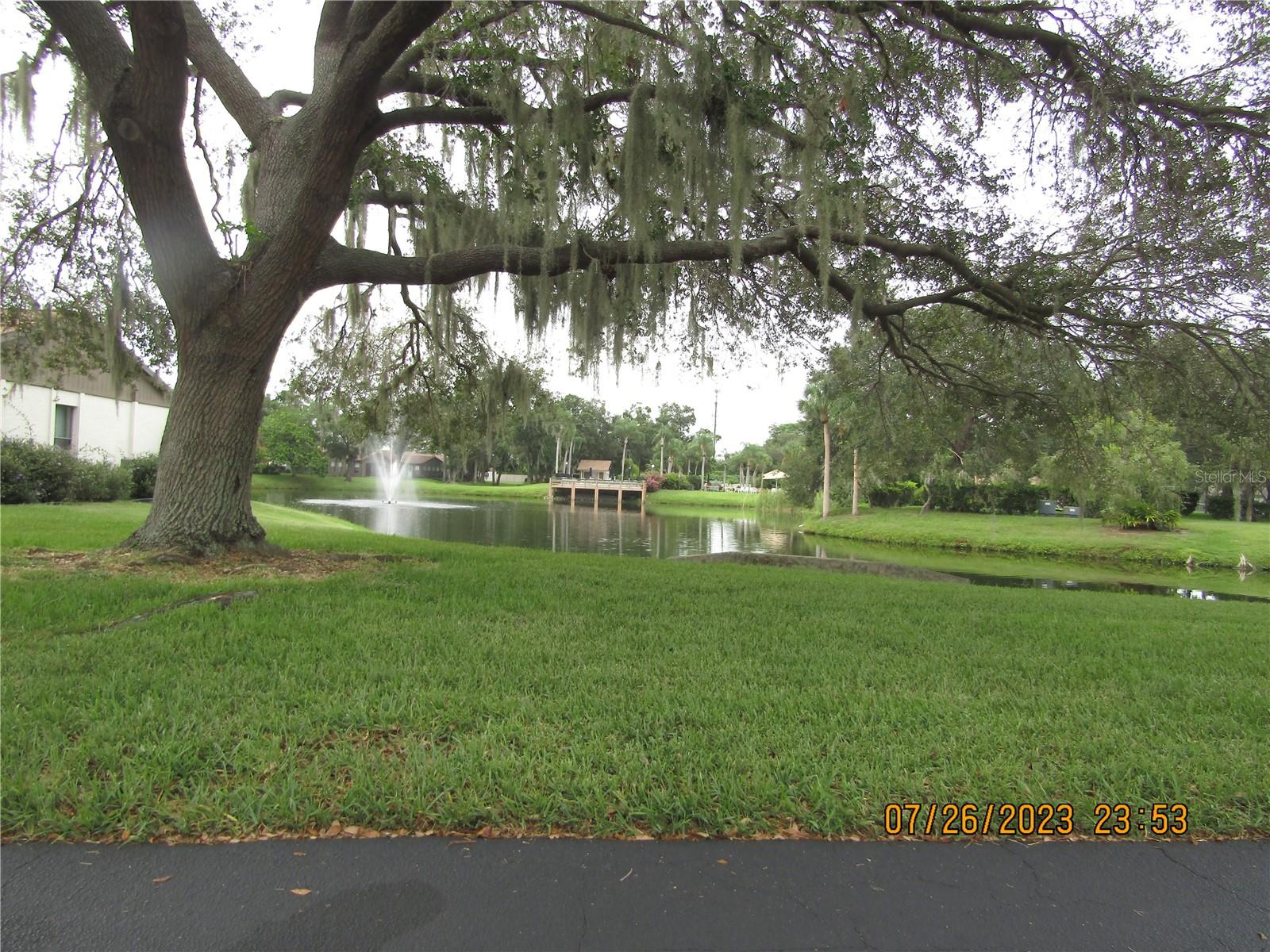 4633 OAK HILL DR #13, SARASOTA, FL, 34232