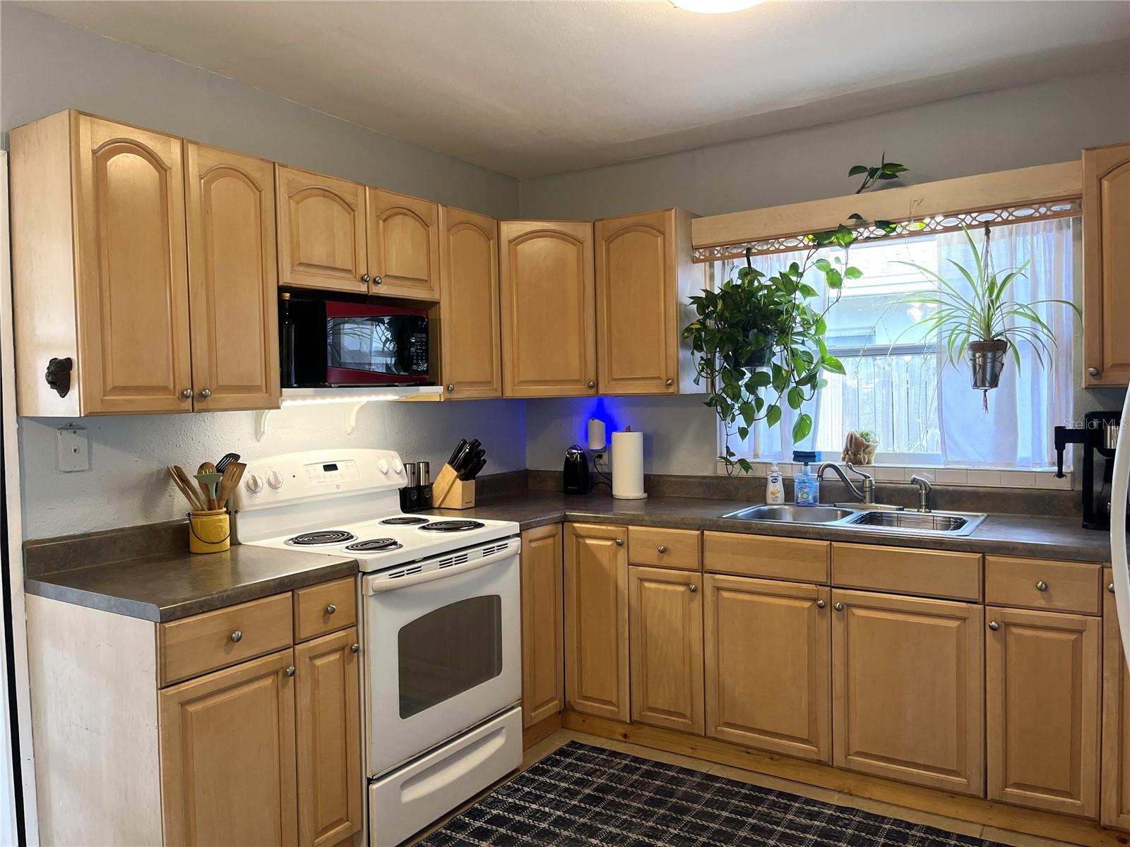 SUNNY RIDGE 1ST ADD, DUNEDIN, FL, 34698